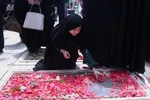 دبب