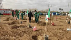 پویش دانش‌آموزی سلام بر زمین هم‌زمان با روز درختکاری