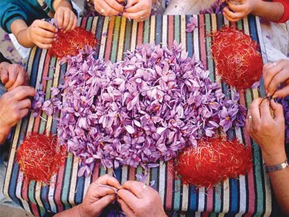طلای سرخ در دست ایرانی&zwnj;ها