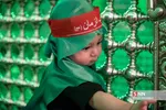 اجتماع عظیم شیرخوارگان حسینی در شیراز