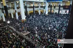 همایش شیرخوارگان حسینی در شیراز