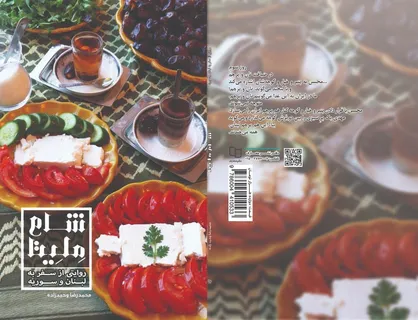 انتشار روایتی از سفر میثم مطیعی، عرفان&zwnj;پور، وحیدزاده و سیار به لبنان