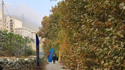 پایش روزانه روددره فرحزاد/ حضور گشت&zwnj;های حامی&zwnj;شهر و مددکاران برای ساماندهی آسیب&zwnj;دیدگان اجتماعی