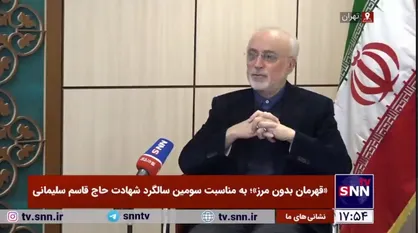 علی اکبر صالحی: سردار سلیمانی را از بازی&zwnj;های سیاسی دور کنید