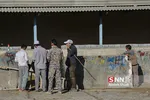 بازار دام