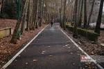 یزتل