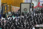 صضثضصثصض