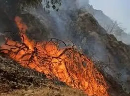 آتش&zwnj;سوزی در ارتفاعات کوه ماغر/ درخواست منابع طبیعی بهمئی برای مشارکت مردمی در مهار حریق
