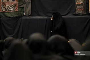 دبب