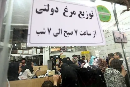 دلار جهانگیری همچنان قربانی می&zwnj;گیرد/ بازار مرغ در آشوب نهاده ۲ نرخی و توزیع فاجعه&zwnj;بار نهاده دولتی