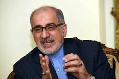 انصاری با وزیر امور خارجه برزیل دیدار کرد