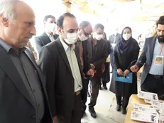 کلانتری: وزارت علوم از دانشجویان کارآفرین با پرداخت تسهیلات و مهارت‌افزایی حمایت می‌کند