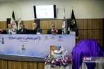 دارو الیسون