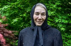 پیام تسلیت انجمن فیلم سازمان بسیج هنرمندان در پی درگذشت پروانه معصومی