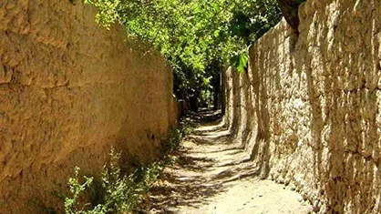 اعتراض دانشجویان به تصویب یک طرح/ #باغ&zwnj;های_شیراز را دریابید!