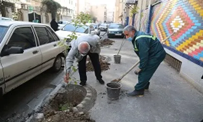 از ابتدای سال تاکنون، بیش از ۷ هزار نهال در معابر و بوستان&zwnj;های منطقه ۱۱ کاشته شد