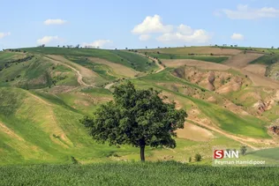 جلوه های زیبای طبیعت