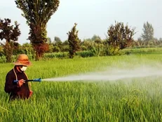 حشره‌کش گیاهی نانویی، حشرات مقاوم به سم را نابود می‌کند