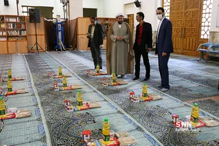 دانشگاه تربیت مدرس