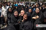 بیبب