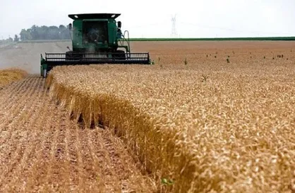 شورای قیمت&zwnj;گذاری بر سر نرخ ۱۵ هزاری گندم به توافق نرسید