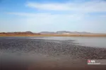 آبگیری تالاب‌ حوض سلطان قم در پی بارش‌های اخیر