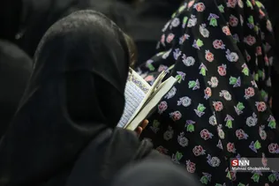 دبب