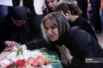دبب
