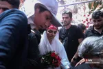 دبب