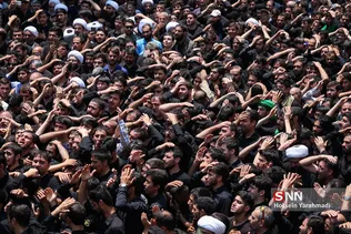 وحید1