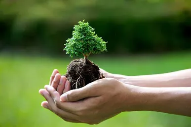 مشارکت جوامع محلی؛ کلید طلایی حفاظت از زیست‌بوم و تحقق توسعه پایدار