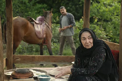 ادامه تصویربرداری &laquo;در کنار پروانه&zwnj;ها&raquo;