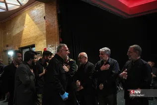 دبب