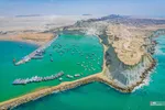 بریس