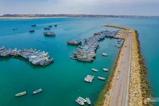 بریس