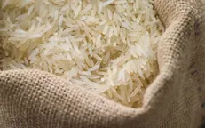 کاهش ۳۳ درصدی صادرات برنج هند به ایران