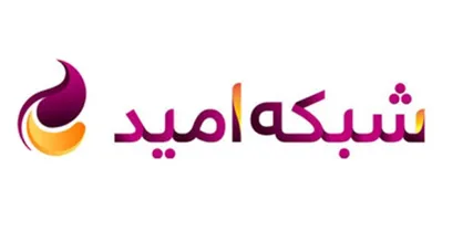 شبکه &laquo;امید&raquo; به یک تحول جدی نیاز دارد/ افراد حرفه&zwnj;ای، کمتر به سمت تولید برای نوجوانان می&zwnj;روند