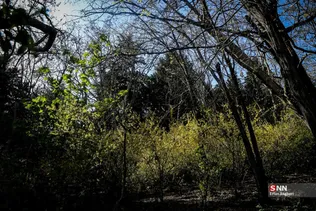 بوستان جمشدیه در روز های بهاری