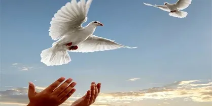 آزادی ۳۱۵ زندانی جرائم غیرعمد در اردبیل