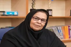گرانی نهاده دامن زنبور داران را هم گرفت / سرنوشت ۱۰۰ هزار زنبوردار در دست مسئولی که هنوز دستش به کندو نخورده!