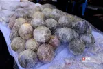 سقصغا