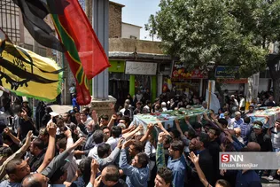 بیبب