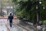 هوای بارانی تهران