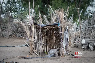 new