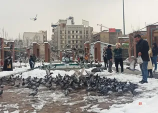 امام زاده صالح برفی