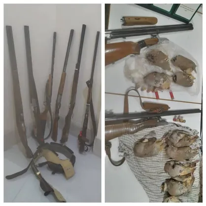دستگیری ۶ متخلف شکار پرندگان در شهرستان اردل