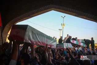 دبب
