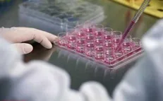 یادگیری ماشینی در علم محاسبات نانو استفاده می‌شود