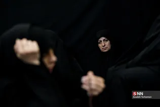 دبب