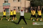 انصاری